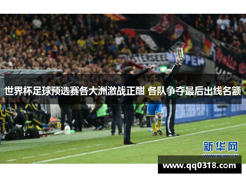 世界杯足球预选赛各大洲激战正酣 各队争夺最后出线名额