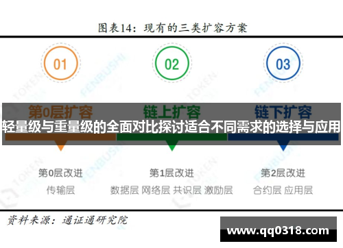 轻量级与重量级的全面对比探讨适合不同需求的选择与应用